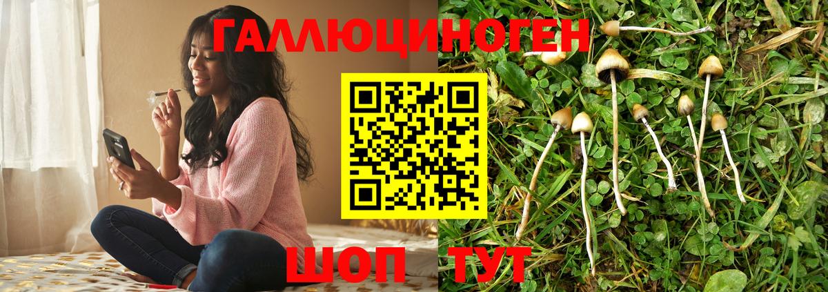Стрежевой  Галлюциногенные грибы MAGIC MUSHROOMS  Вход с VPN 