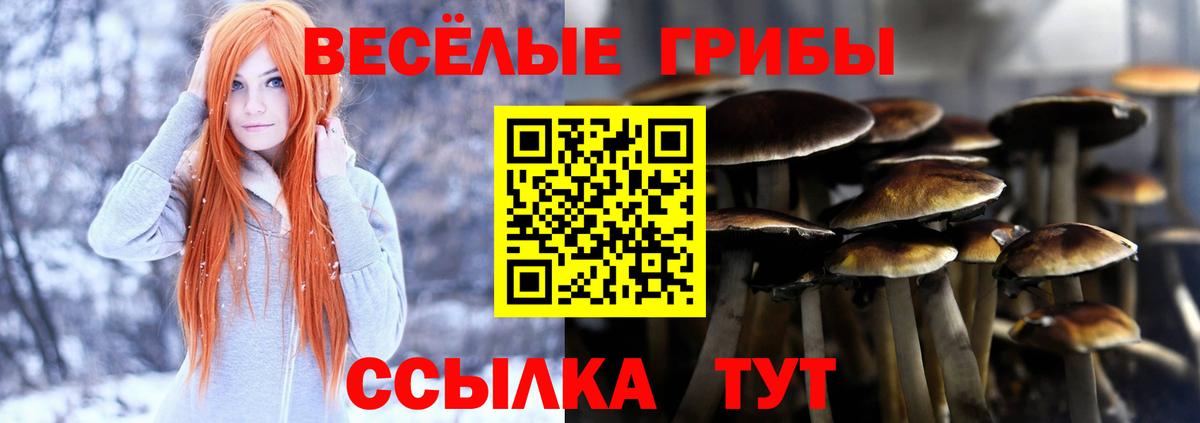 Гашиш  ГАШИШ  Вход с VPN  МАРИХУАНА  Стрежевой  Мефедрон кристаллы  LSD-25 