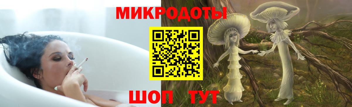 Галлюциногенные грибы Psilocybe Стрежевой